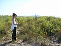 Western Michigan [2010] 923